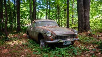 Ein verlassenes Auto im Wald.