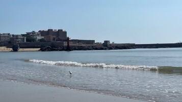 A beach with waves, a bird, and buildings in the background.