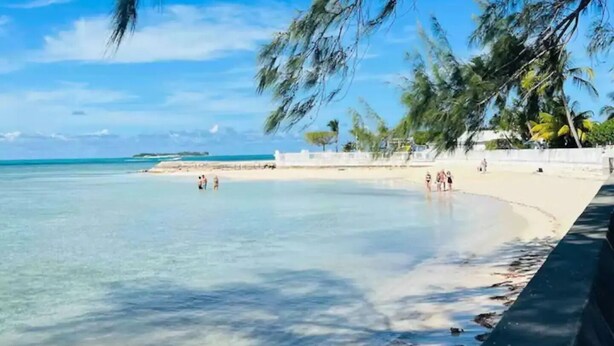A beach with clear turquoise water, palm trees, and a sandy shore. - Beautiful Tropical Villa with Private Pool / Pool Bar /Grill / Sandy Beach (Nassau)