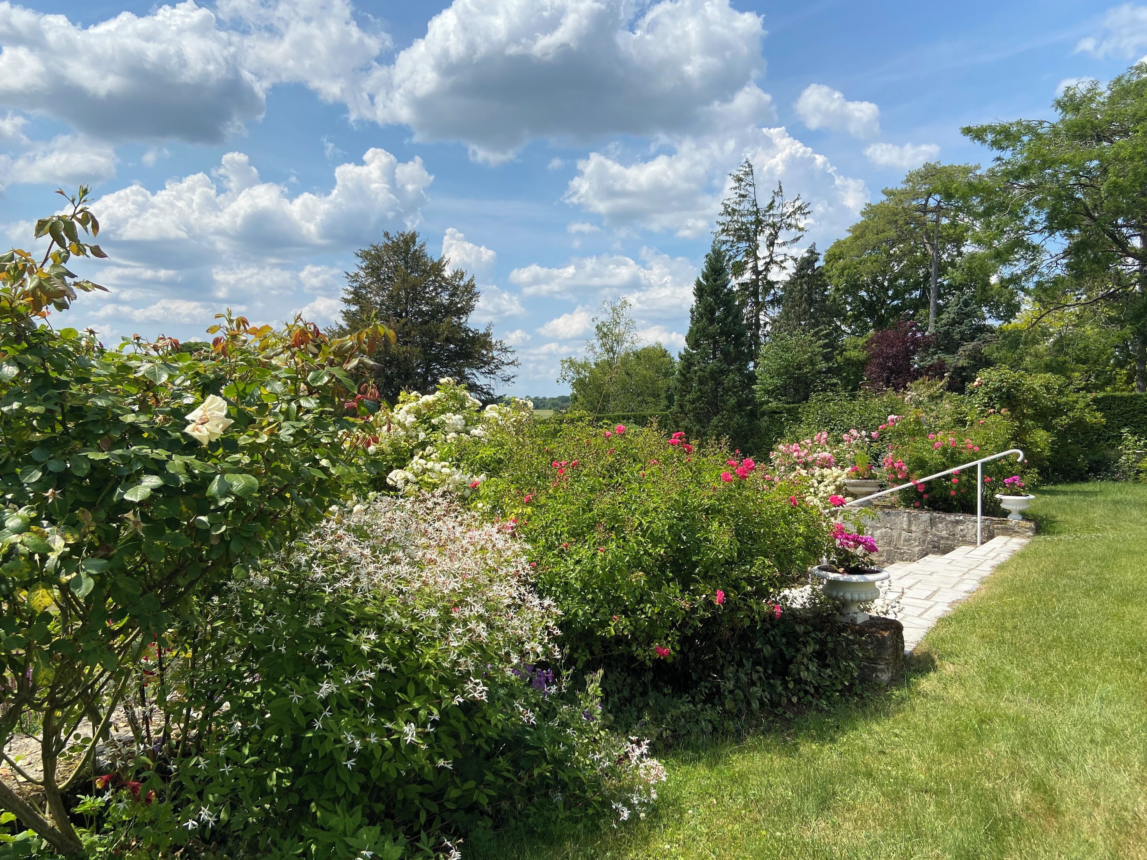 Terrein van de accommodatie