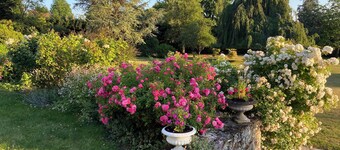 Gîte "Haut Echiquier" 10mn Parc Astérix, 15mn Aéroport Charles de Gaulle.