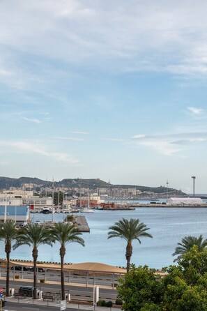 Vista desde la propiedad