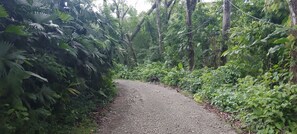 Área da propriedade