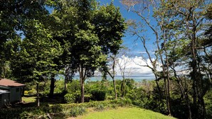 Une zone herbeuse avec des arbres et une vue sur l’océan.