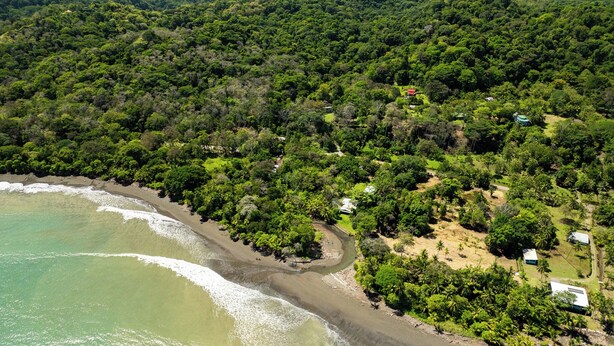 Vue aérienne d’une zone côtière caractérisée par une végétation luxuriante, une plage de sable et quelques bâtiments dispersés.
