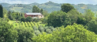 Beautiful vacation home in the Umbrian hills - only 12 min from famous Montone