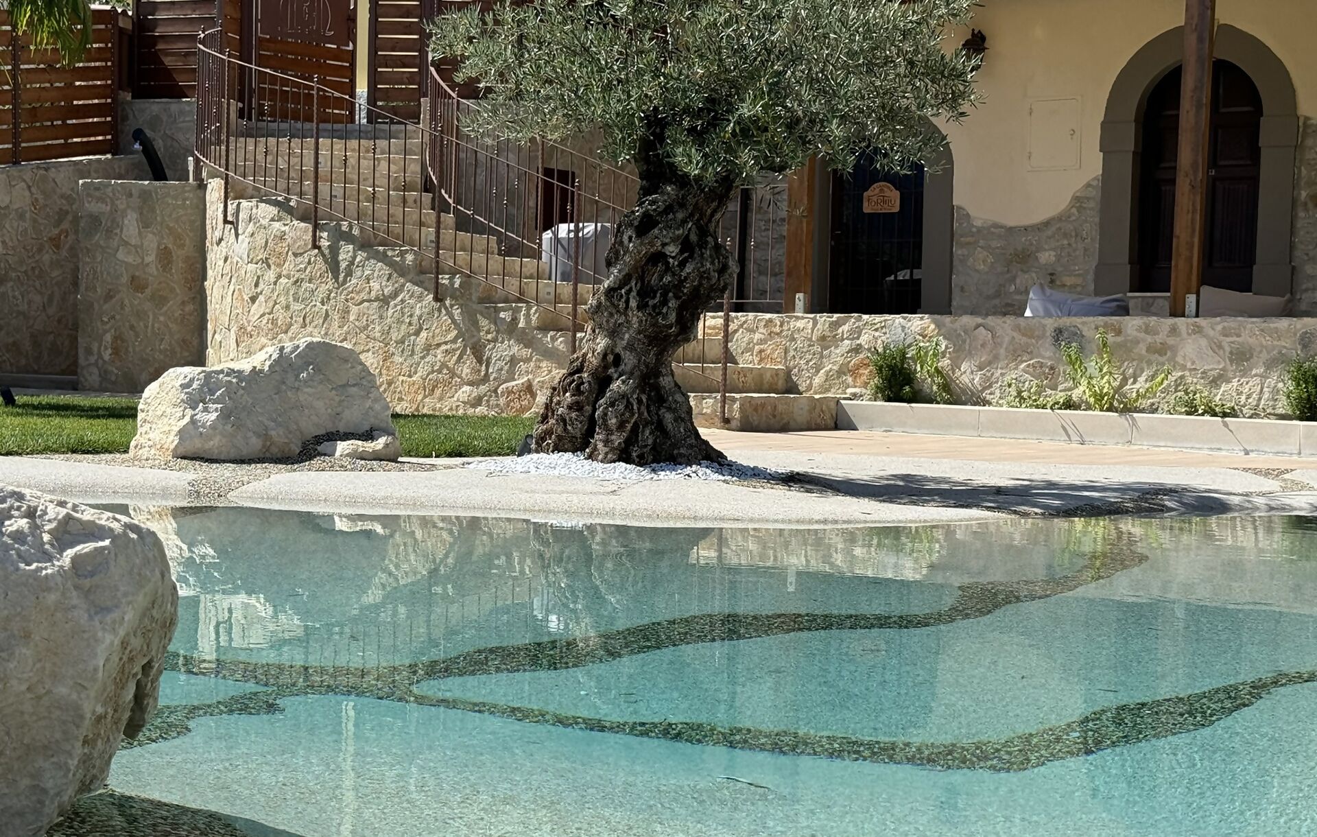 Zona de piscina amb aigua cristal·lina, una roca gran i un arbre.