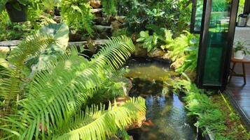 Un petit bassin d’eau, entouré d’une végétation luxuriante comprenant des fougères et diverses plantes, et protégé par une paroi de verre d’un côté.