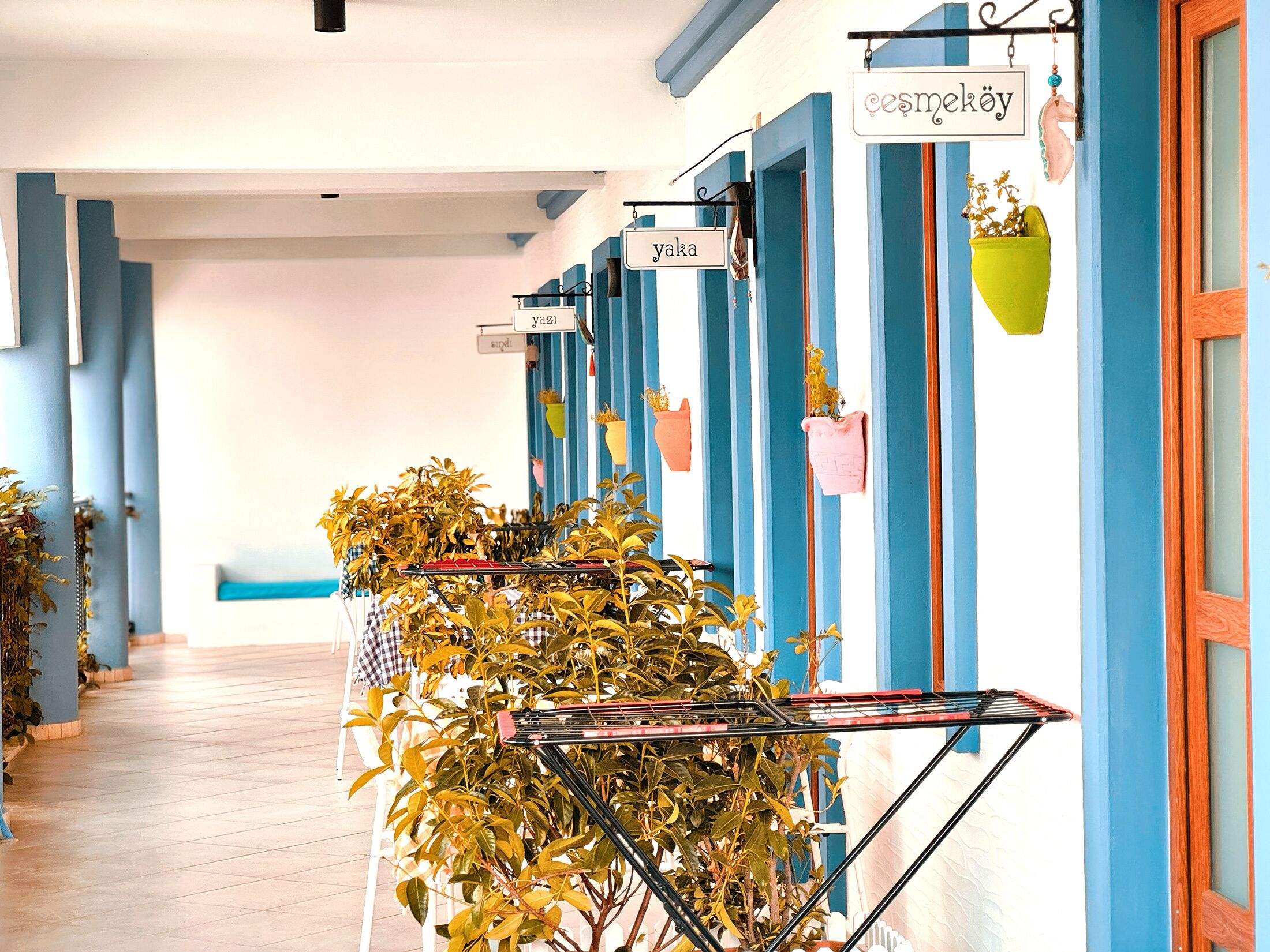 A hallway with blue walls, potted plants, and a rack with clothes.