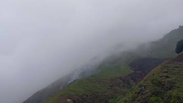 Economy Cabin, Mountain View