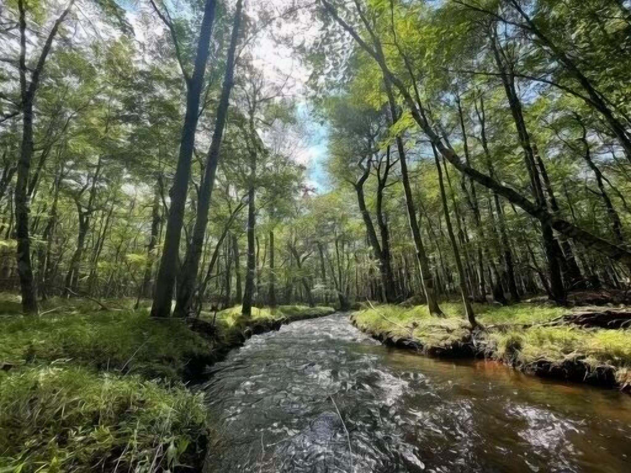 Creekside A Frame Chalet, 5 Lakes, Pool, Private Hot Tub, Pet friendly!