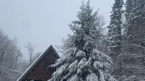 A snow-covered cabin with a wooden exterior, a porch, and a large evergreen tree in front. - Luxury Poconos Chalet - Hot Tub, Fire Pit, Wineries , Breweries & Pet-Friendly!! (Albrightsville)