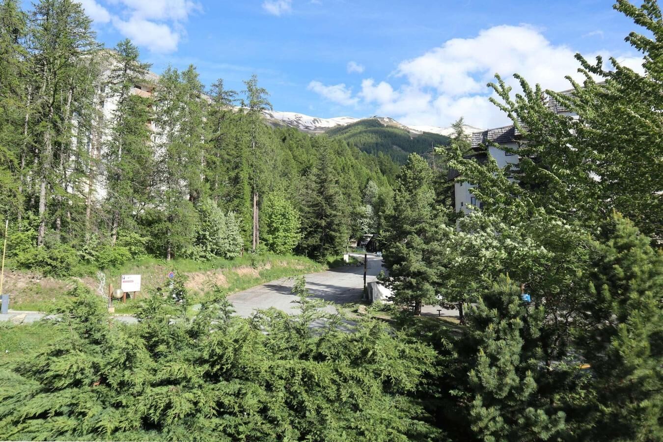 Una zona boschiva con un sentiero lastricato, edifici e una montagna sullo sfondo.