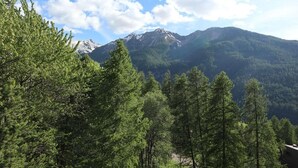 Eine Berglandschaft mit dichtem, grünen Wald im Vordergrund und einem schneebedeckten Gipfel im Hintergrund.