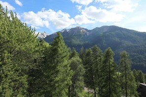 A mountain landscape with dense green forest in the foreground and a snow-capped peak in the background.