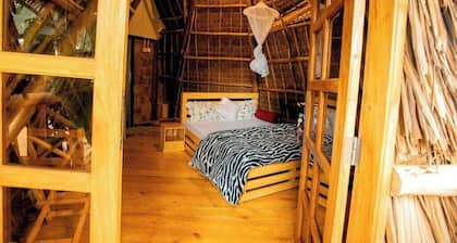 Moshihostellodge