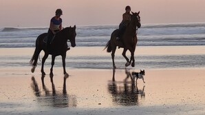 Two people riding horses on a beach with ocean waves in the background. - Private room, in a quiet, leafy setting.  (ploneour lanvern)