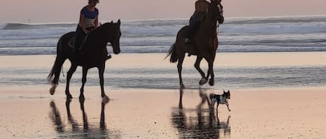 Two people riding horses on a beach with ocean waves in the background.