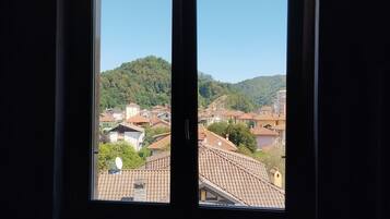 A window with a view of a residential area with houses and a hill in the background.