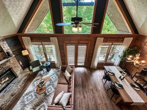 Smart TV, fireplace, books, video library