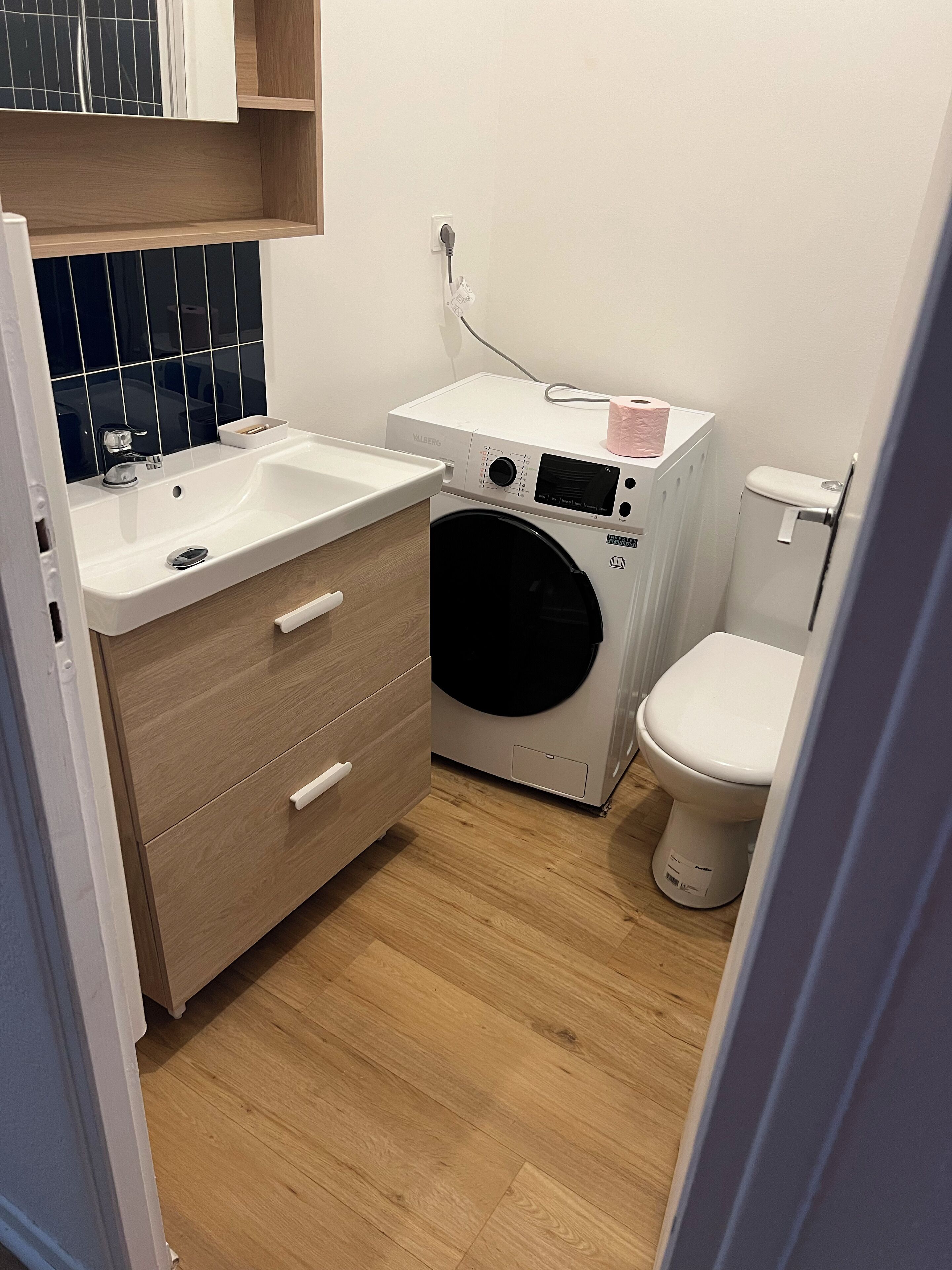 Hair dryer, towels, soap, toilet paper