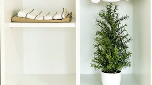 Een badkamer met een wit schap met opgevouwen handdoeken, een handdoekhouder met twee handdoeken en een potplant.