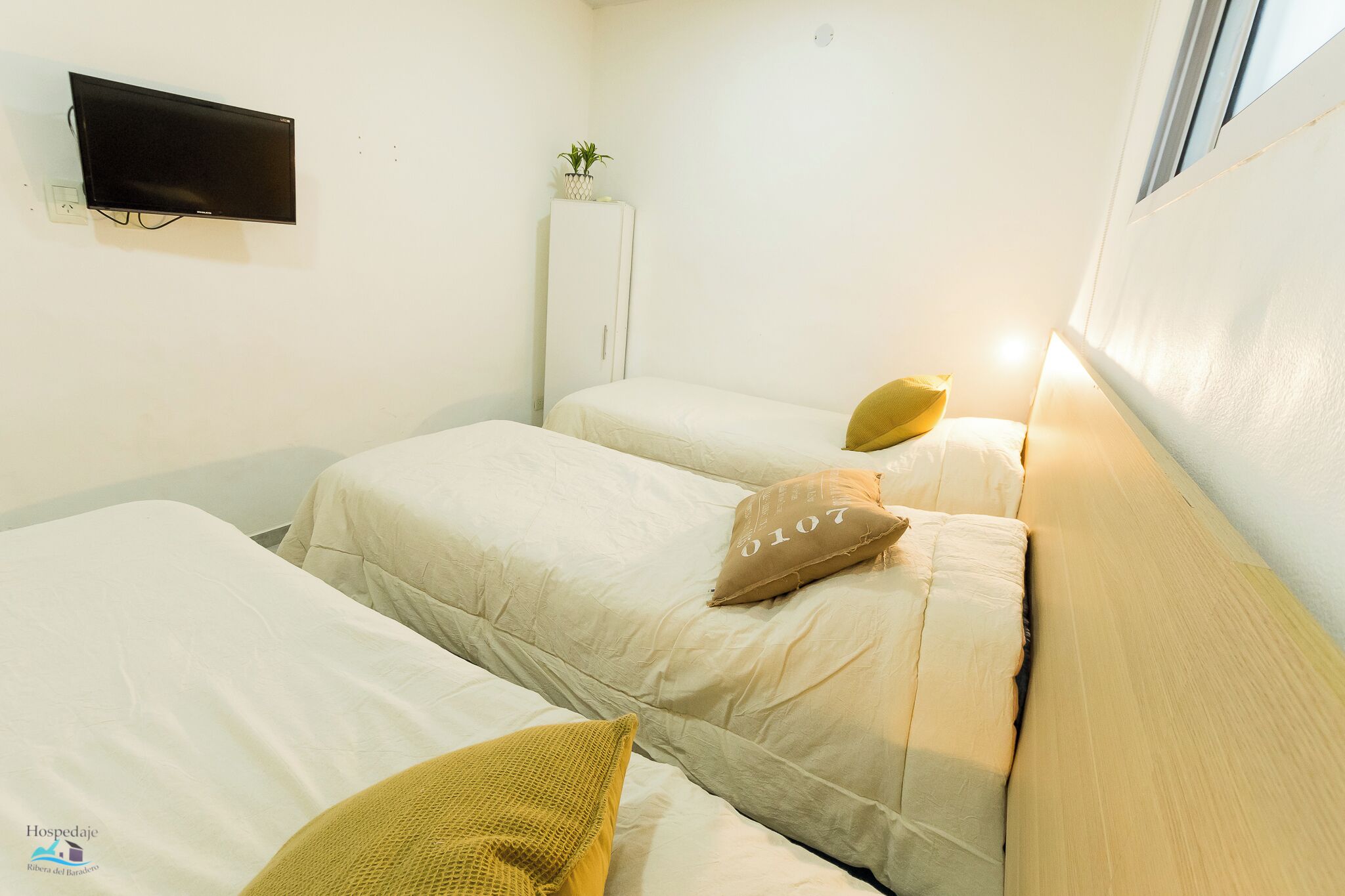 Een slaapkamer met twee bedden, een aan de muur bevestigde televisie en een klein kastje met een plant.