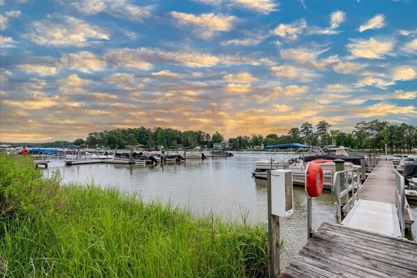 Marina - Dream Cottage in Lewes (Lewes)