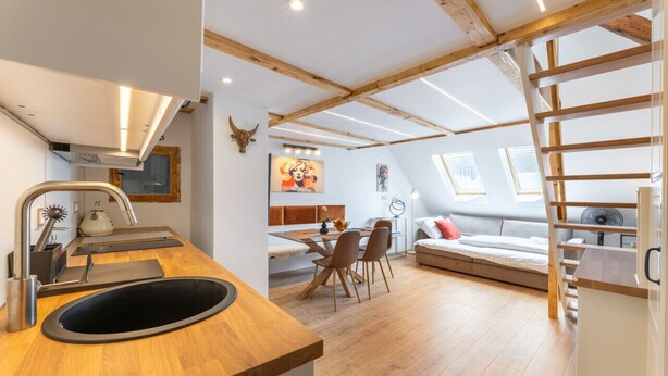 A modern loft-style room with a kitchen area, dining space, and a loft bed.