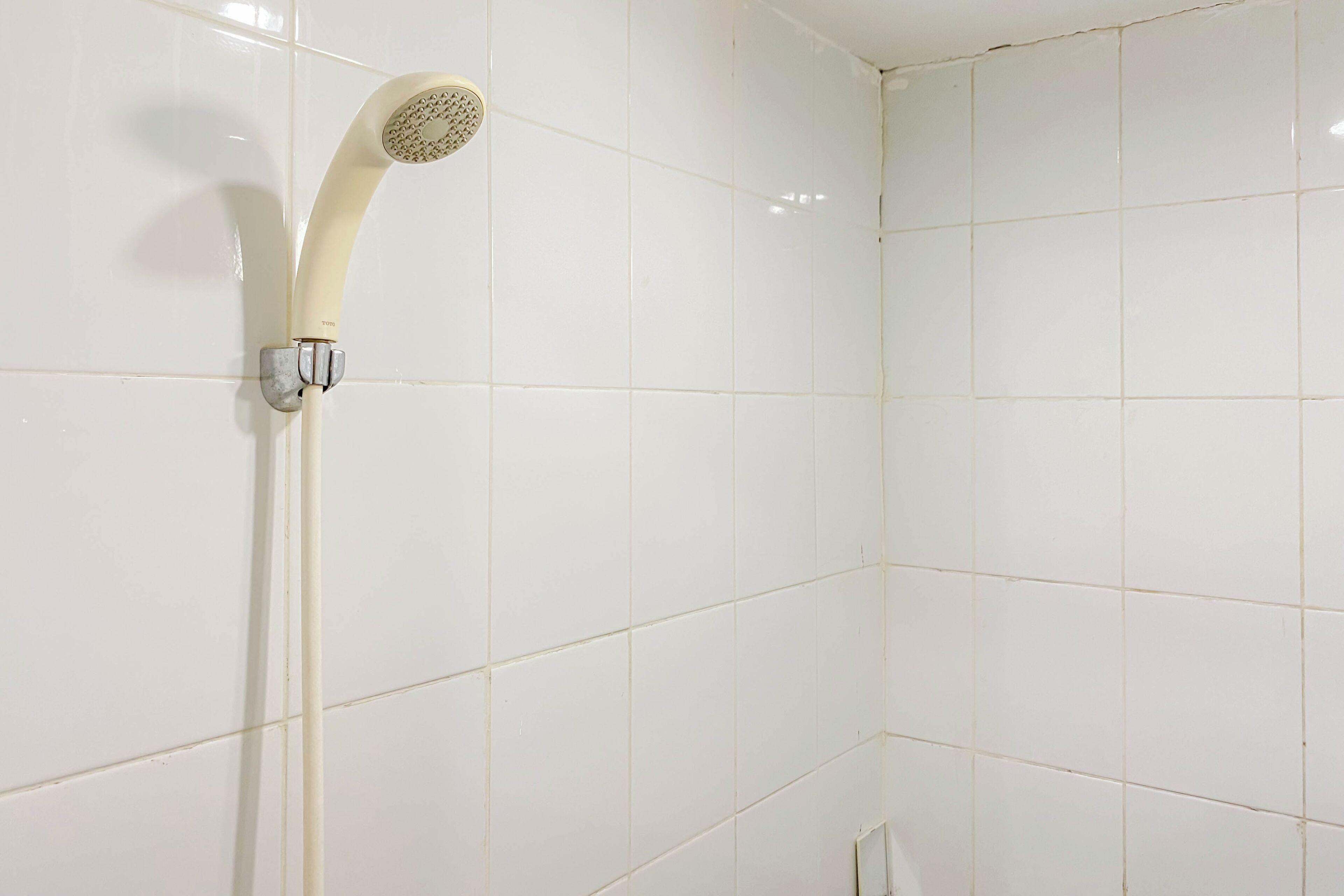 A shower with a curved head and a long hose.