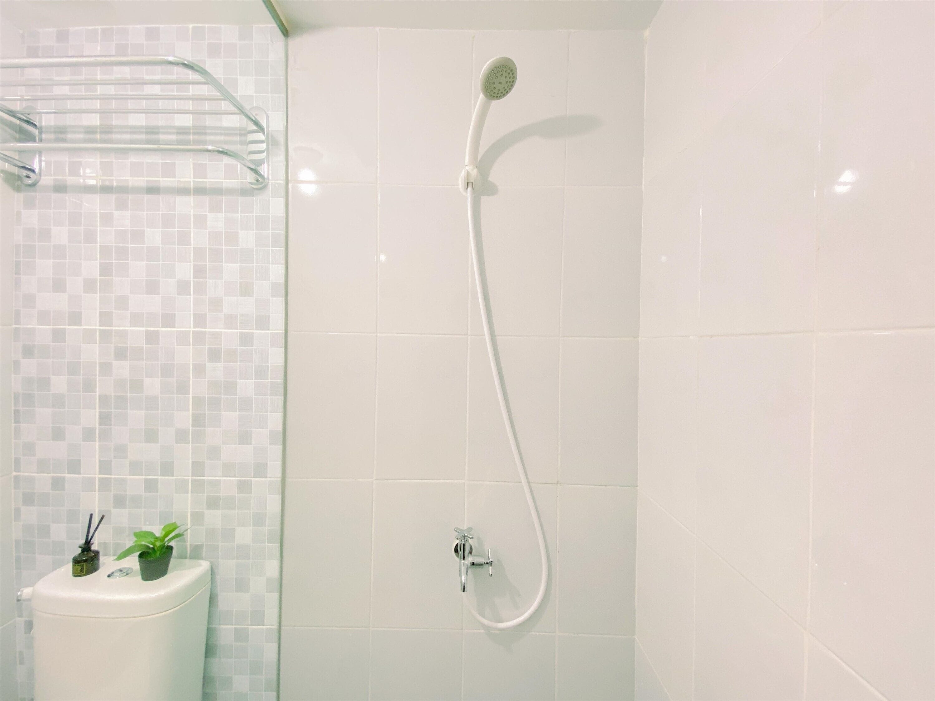 A bathroom with a shower, a toilet, and a small shelf with a plant.
