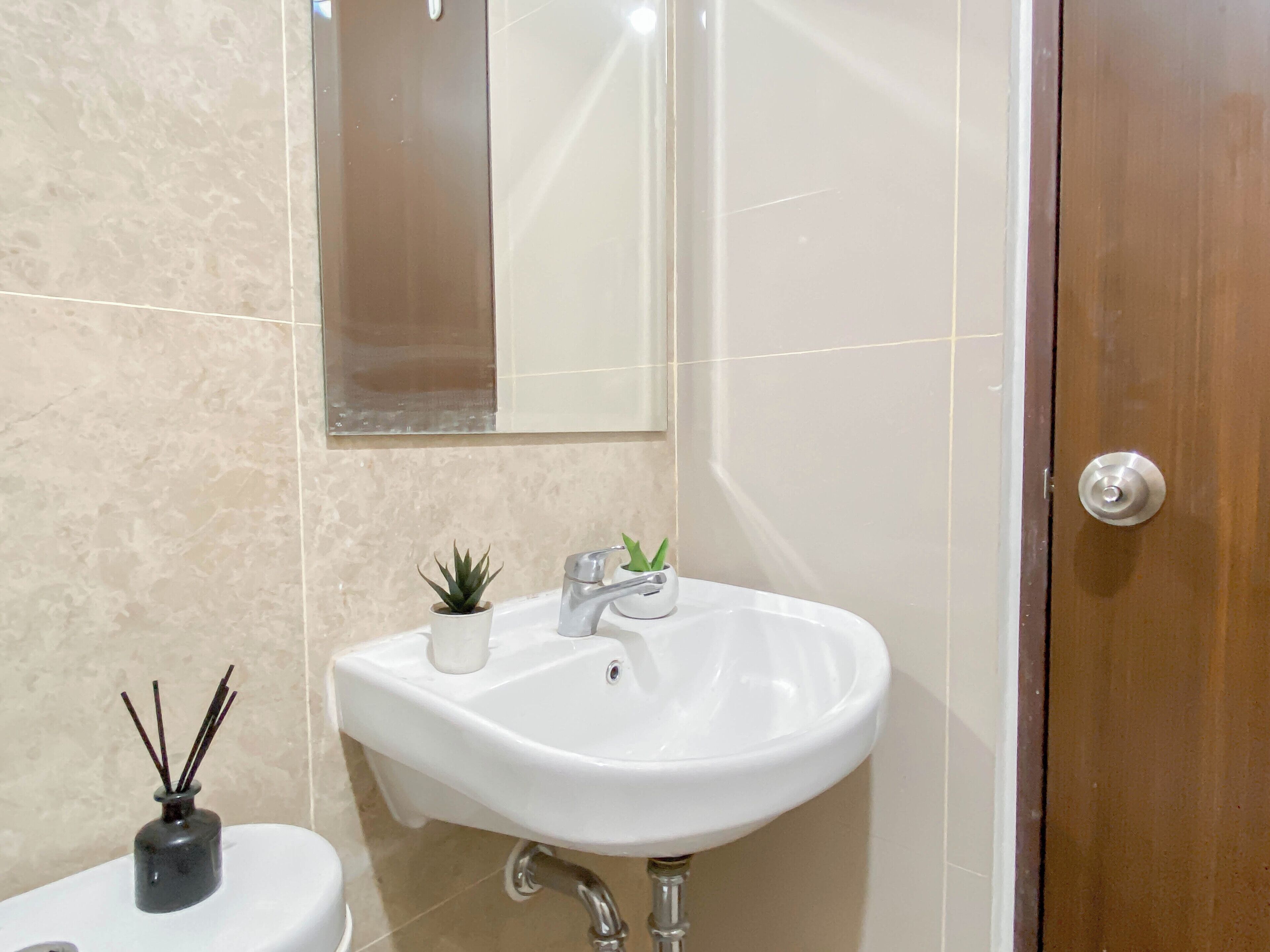 A bathroom with a white sink, a small potted plant, and a mirror above it.
