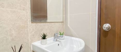 A bathroom with a white sink, a small potted plant, and a mirror above it.