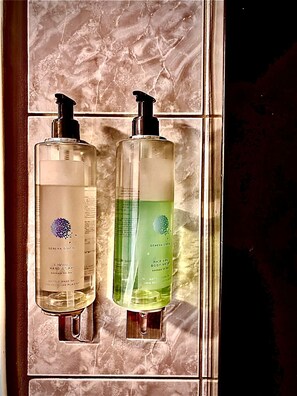 Bathroom - Container con opción de tina temperada (Puerto Varas)