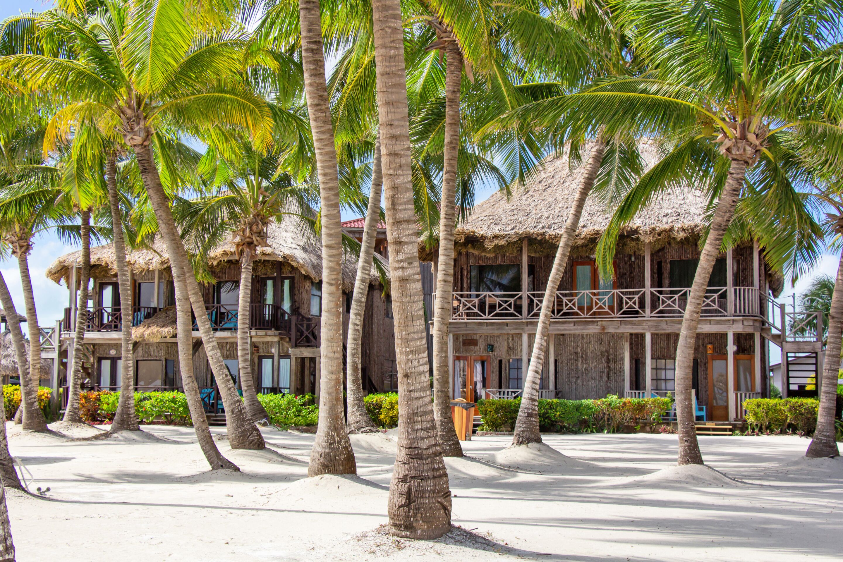 A beachfront hotel with thatched-roof structures, palm trees, and a sandy beach.