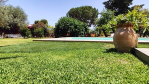 Un área verde bien cuidada, con una maceta decorativa grande, una piscina y varios árboles al fondo.