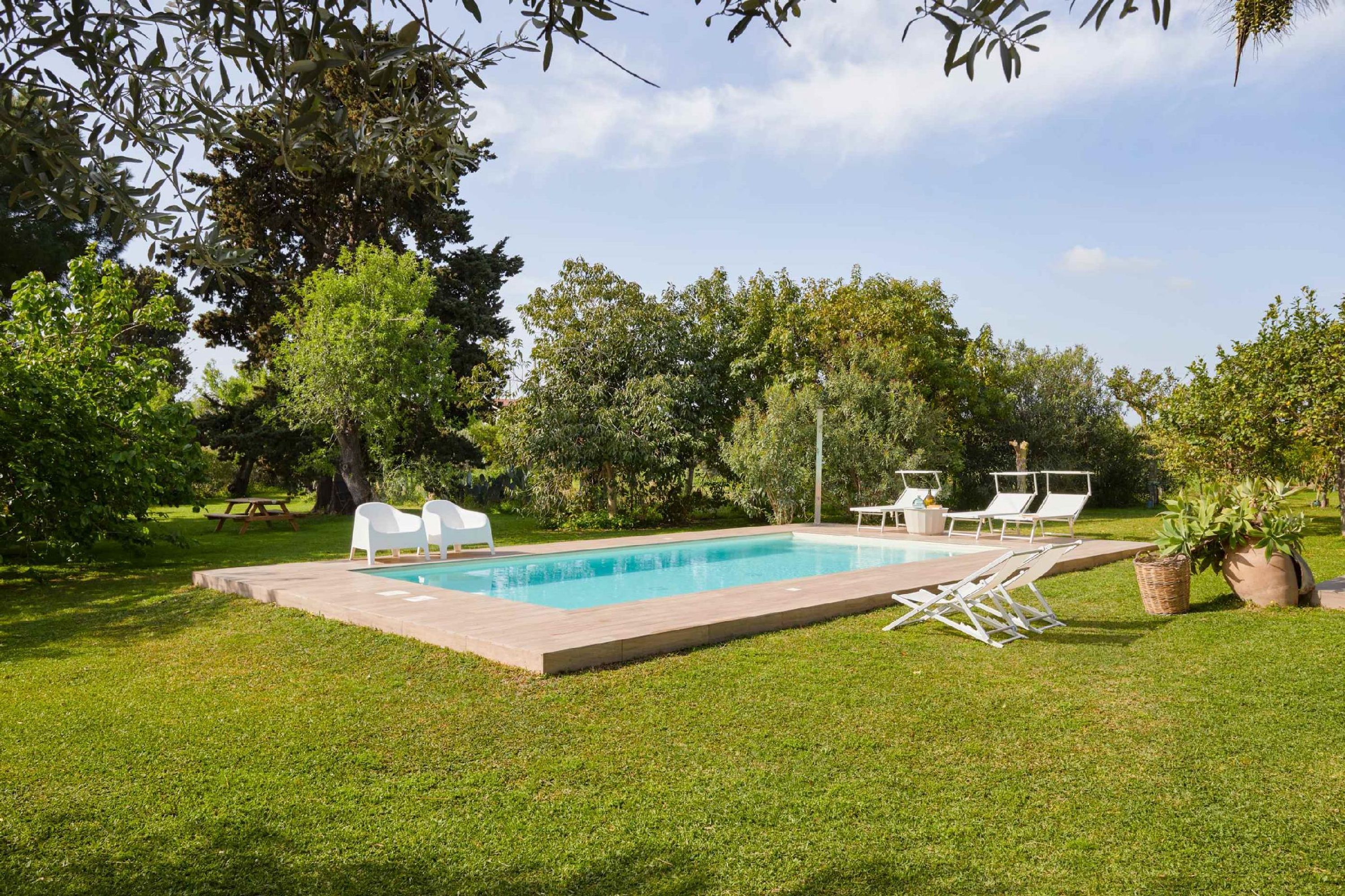 Ein rechteckiger Pool mit einer Fliesenveranda, umgeben von einem gepflegten Rasen und Bäumen.