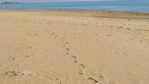 A sandy beach with footprints leading to the water.