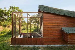 Une structure en bois dotée d’un enclos grillagé, d’un toit et d’une terrasse en bois.