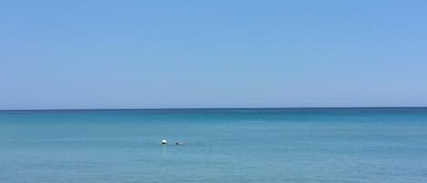 Apartamento | 2 dormitorios y Internet