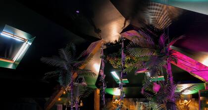 Dynasty Jungle Home Spa Jacuzzi