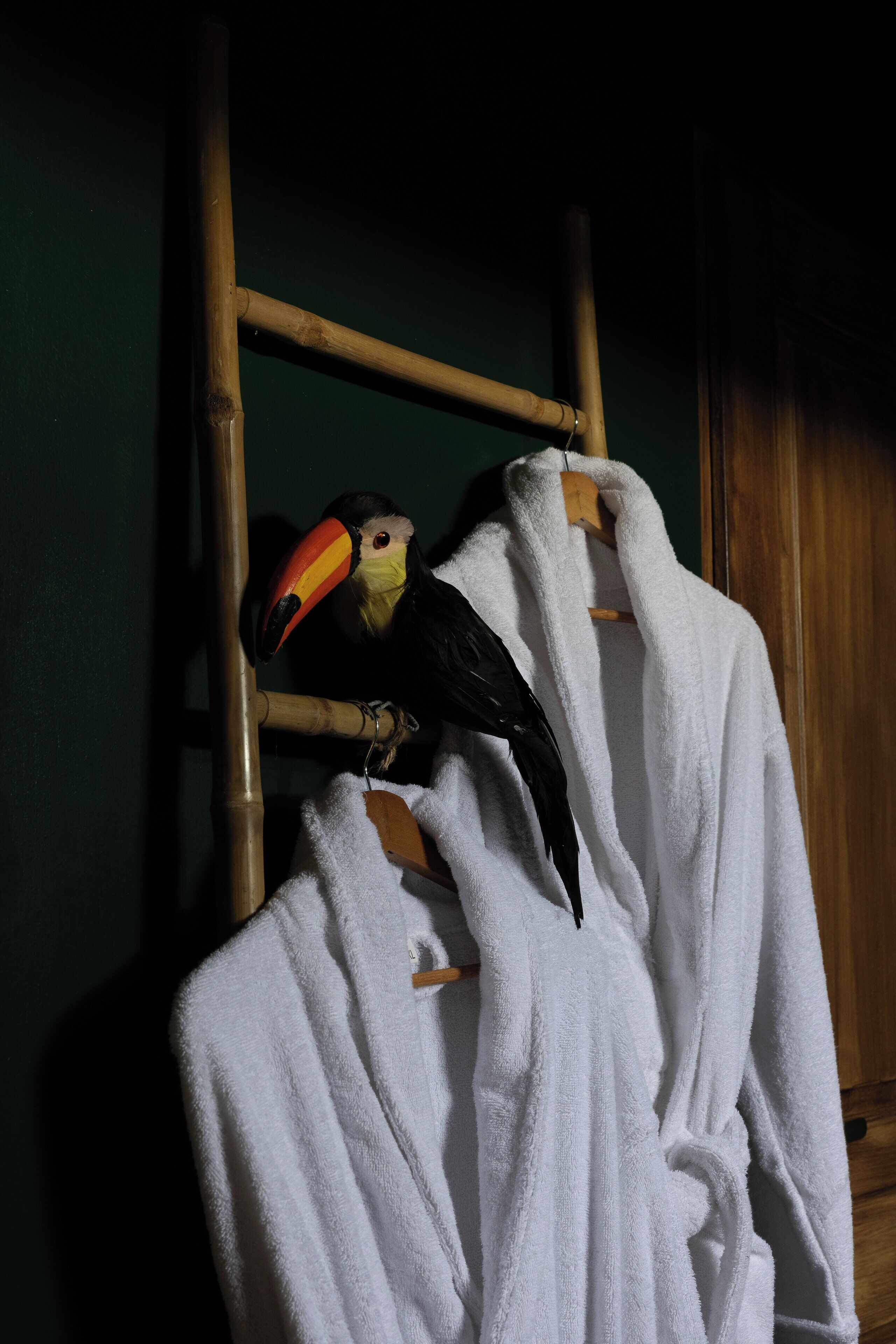 Un pájaro posado en una escalera de madera con una toalla blanca.