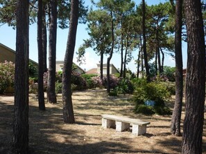 Parco della struttura