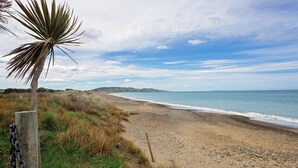 Una playa con una cerca de alambre, una palmera y un cielo despejado.