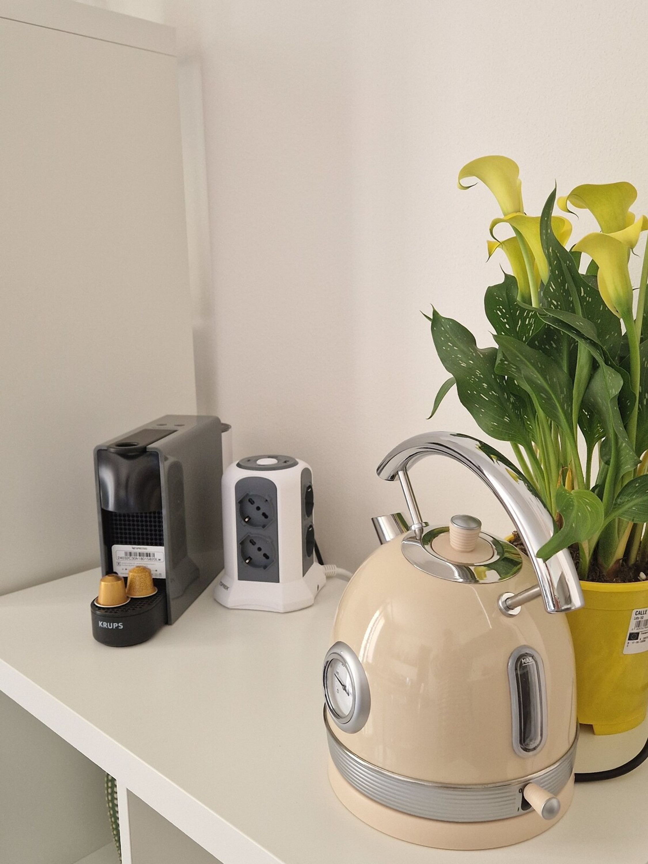 A kitchen counter with a kettle, a toaster, a power strip, and a potted plant.