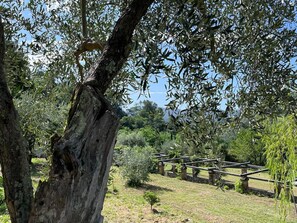 Leilighet | 2 soverom