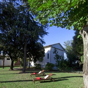 2 bedrooms - Appartamento Iris Agriturismo Borgo Iris -appartamento Iris (Cortona)