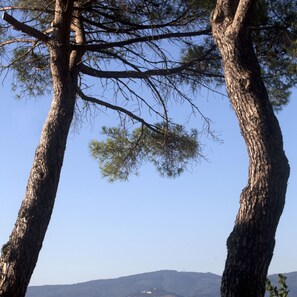 2 bedrooms - Viola Apartment Agriturismo Borgo Iris -appartamento Viola (Cortona)