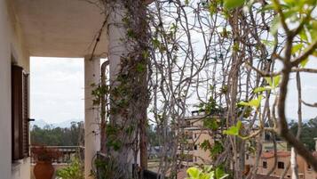 DĂ©tail de lâextĂ©rieur