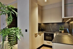 A modern kitchen with a black marble countertop, built-in appliances, and a potted plant. - IMCT - Sun Hill A208 Luxury Suites (Budapest)